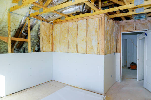 Best Insulation for New Construction  in Holley, NY