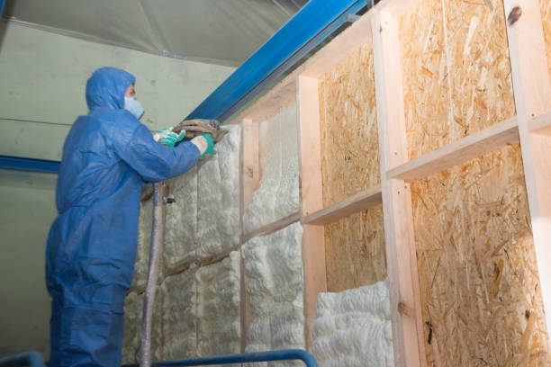 Best Wall Insulation Contractor  in Holley, NY