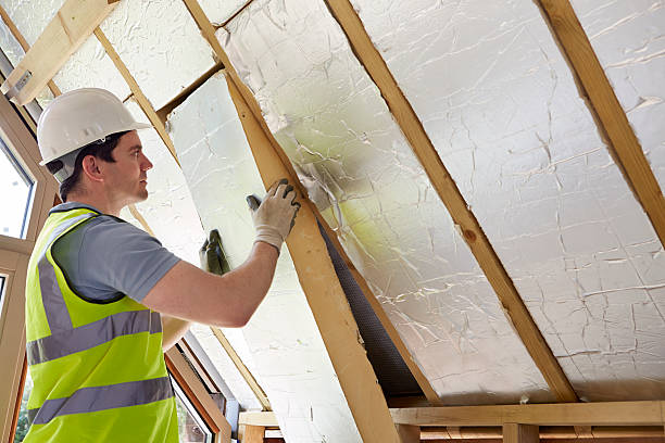 Best Attic Insulation Installation  in Holley, NY