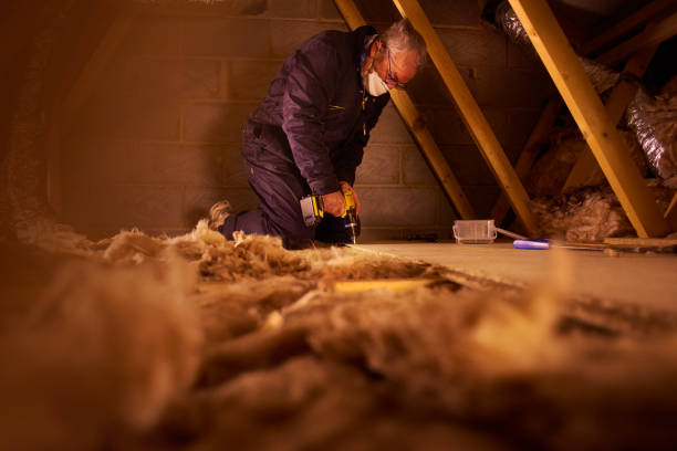 Best Energy-efficient Insulation  in Holley, NY